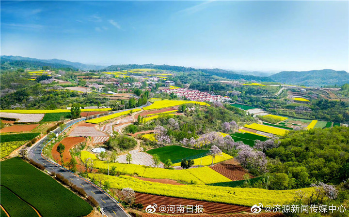 济源种 种天下：济源种子扮靓世界的餐桌 全国三分之一的白菜老家在济源