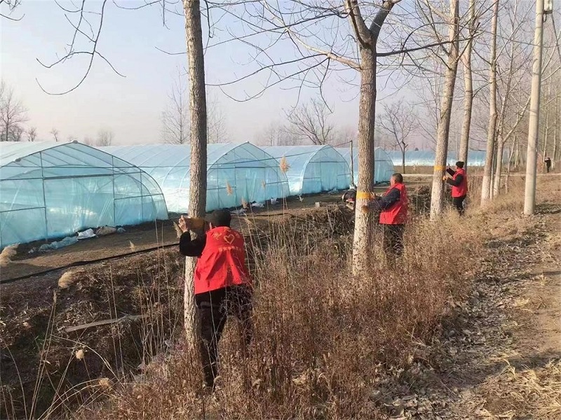 埇桥区苗庵镇：“一改两为”见行动 有害生物早防治