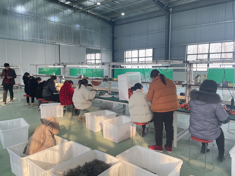埇桥区大店镇：建立“强村”公司，壮大村级集体经济