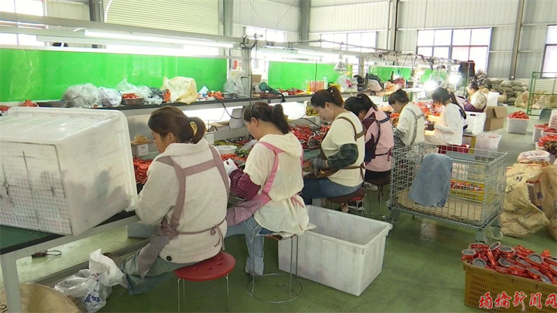 宿州市埇桥区大店镇不断优化营商环境助力乡村振兴